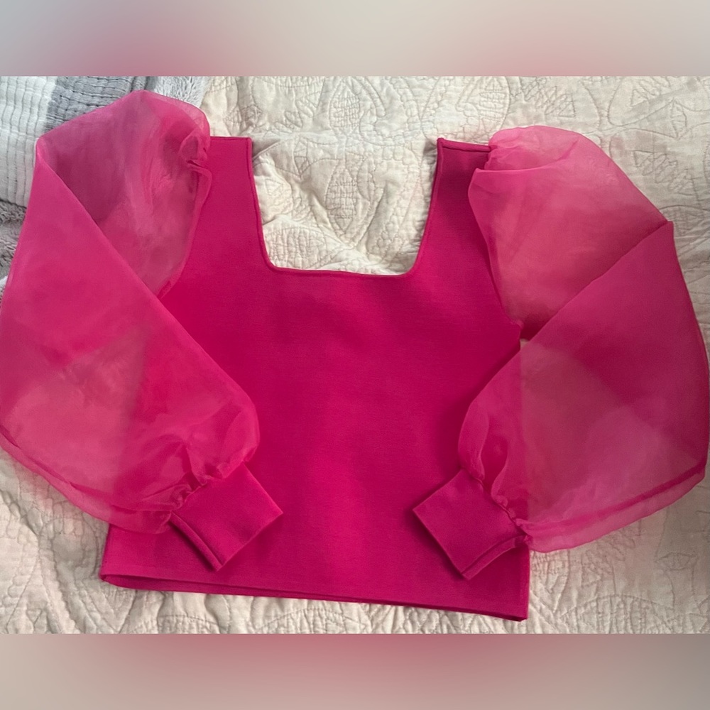 NWT House of Harlow 1960 Chifon Sleeve Bodycon Top